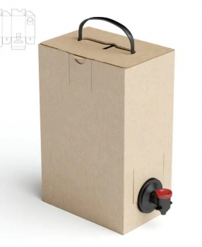Bag-in-Box cho Nước ép: Giải pháp Đóng gói Vượt trội