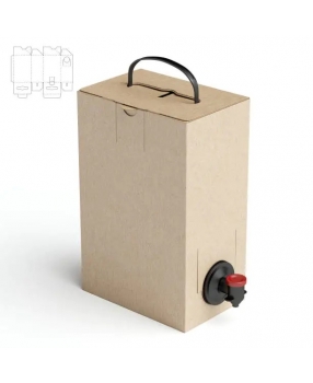 Bag-in-Box cho Nước ép: Giải pháp Đóng gói Vượt trội